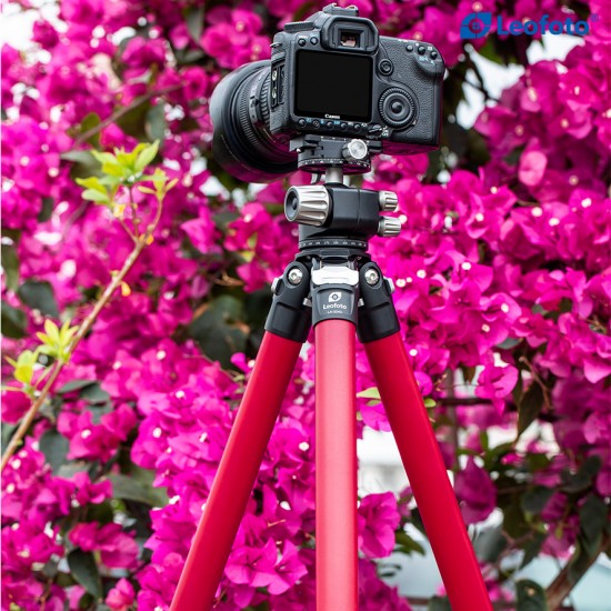 Leofoto LA-324C+LH-40 Athena Series Tripod 32mm 4 Section