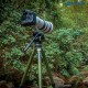 Leofoto LM-364CL Summit Series Tripod 36mmm 4 Section (Olive)