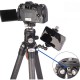 Leofoto LS-285C+LH-36 Ranger Series Tripod 28mm 5 Section Leofoto LS-285C+LH-36 Ranger Series Tripod 28mm 5 Section