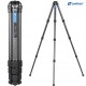 Leofoto LS-364C Ranger Series Tripod 36mm 4 Section