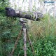 Leofoto LS-365C+PG-1 (Camo) Ranger Series Tripod 36mm 5 Section Leofoto LS-365C+PG-1 (Camo) Ranger Series Tripod 36mm 5 Section