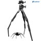 Leofoto MT-04 Spider Aluminum Mini Tripod with LH-30 Ball Head